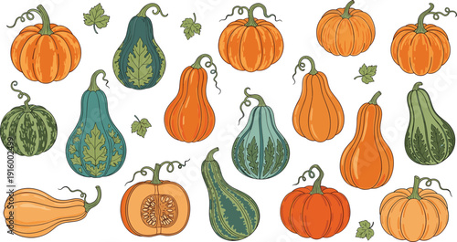 Pumpkin and gourd collection vector set with autumn harvest squash illustration isolated