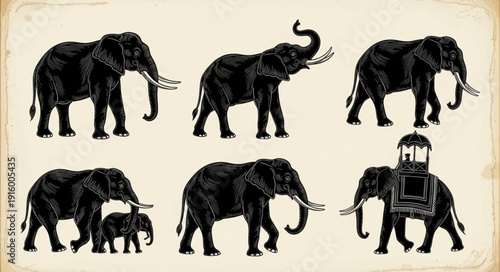 Vintage illustration of elephants in various poses.