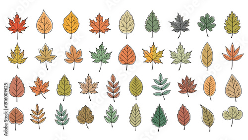 Grid of diverse autumn leaf illustrations in various shapes and colors including orange, yellow, green, and brown.