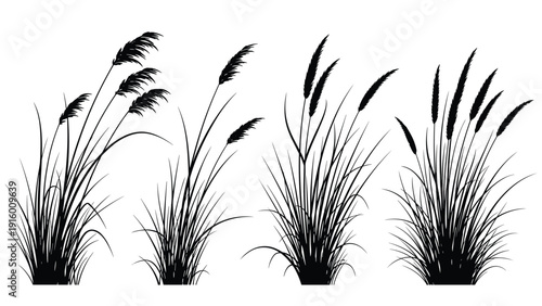 Black silhouettes of different types of tall grass and reeds arranged in a row against a plain white background.
