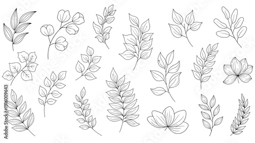 Large set of delicate leaf and branch line drawings with fine details and varied botanical shapes on a white surface.