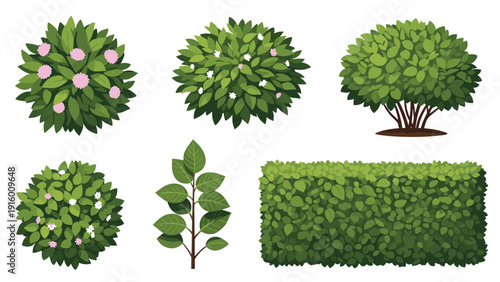 Collection of various green bushes and hedges including some with small pink and white flowers for garden design.