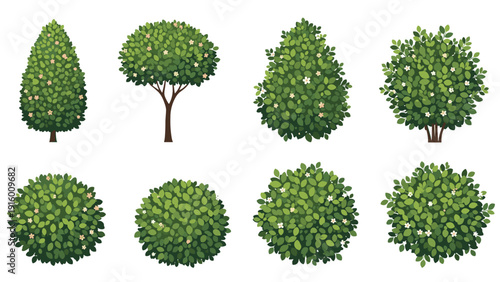 Set of diverse green garden trees and topiary bushes in various shapes like round, oval, and cone on white.