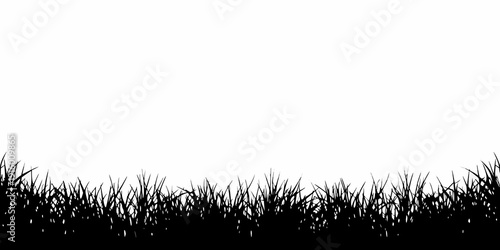 A stark black and white image featuring grass along a horizontal plane