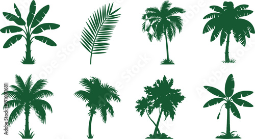Tropical palm and banana tree silhouettes set with palm leaf, coconut trees, jungle plants collection, green vector illustration isolated on white background.