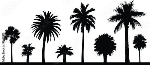 Tropical palm tree silhouettes set with different shapes and heights, summer beach nature landscape design, black vector palm collection isolated on white.