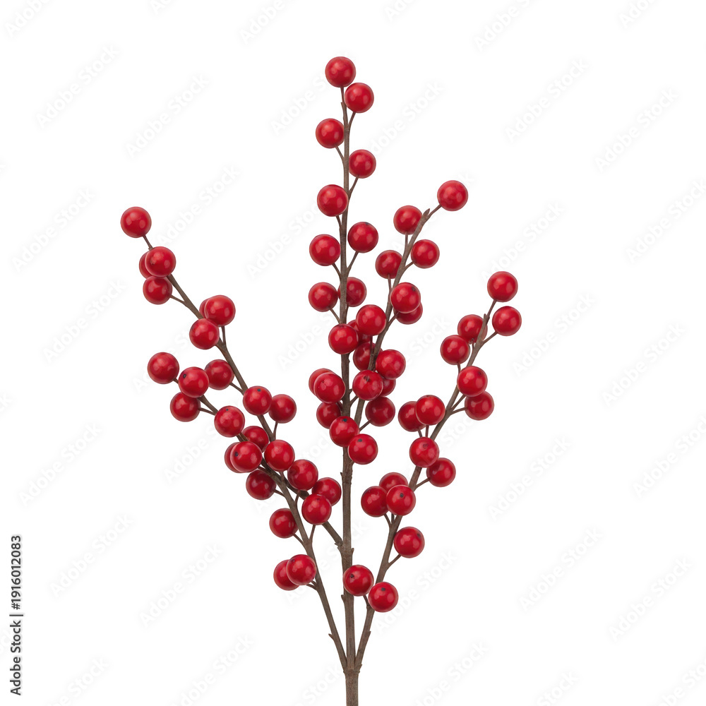 Obraz premium A vibrant branch of red berries isolated on transparent background