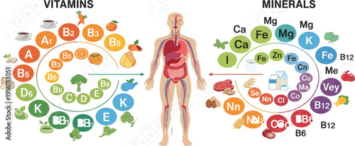 Vitamins and minerals infographic illustration with human body – nutrition and healthcare concept