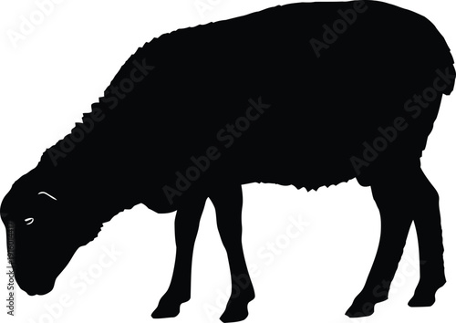 a silhouette of a sheep grazing in a vast, empty field, white background, minimalist design, high contrast, no colors other than black and white. Sharp edges, simple elegant silhouette art style