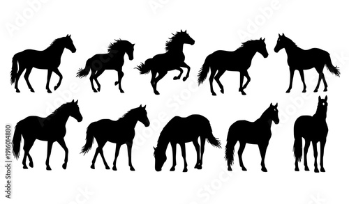 Horse silhouette vector set with different poses isolated farm animal icons