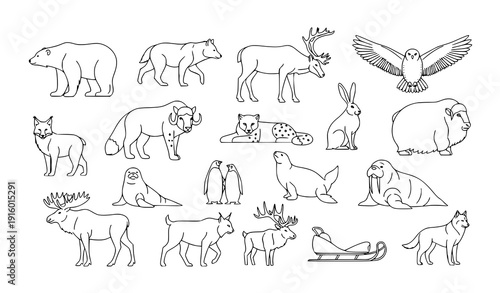 Minimal Snow Wild Animals Contour Line Art Vector Collection in Scandinavian Style
