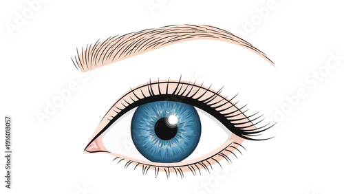 Realistic illustration of a human eye with blue iris and lashes