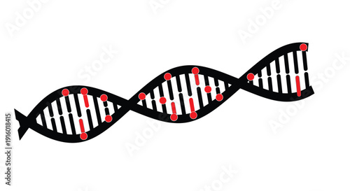 Stylized illustration of a dna double helix resembling a fish