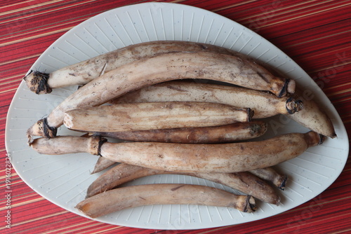 Whole farm fresh Lotus root, also known as renkon, nandru is the edible rhizome of the sacred lotus plant, Nelumbo nucifera, traditional Asian cooking ingredient