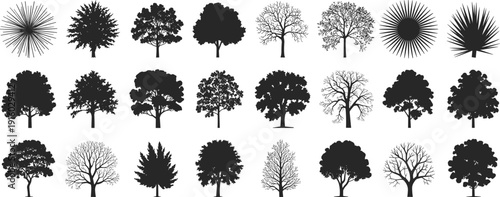 Tree Silhouette Collection Vector Illustration, Various Forest and Garden Trees Black Botanical Icons Set Isolated on White Background