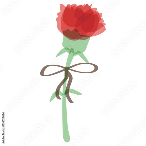 母の日のための 透け感カーネーションシリーズ｜リボンつきカーネーション（一輪）
Carnation for Mother’s Day Series | Carnation with Ribbon
