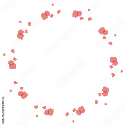 母の日のための 透け感カーネーションシリーズ｜カーネーションのリース
Carnation for Mother’s Day Series | Carnation Wreath