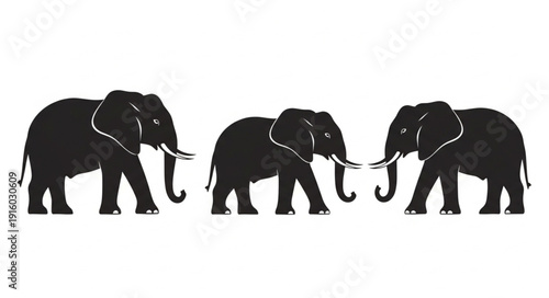 Three African Elephants Silhouette Standing Together.