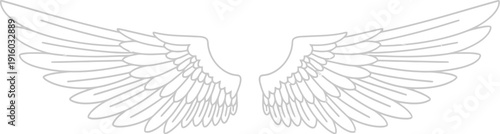 A simple and elegant illustration of a pair of wings on a white background.