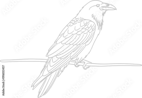 A simple line drawing of a crow perched on a wire