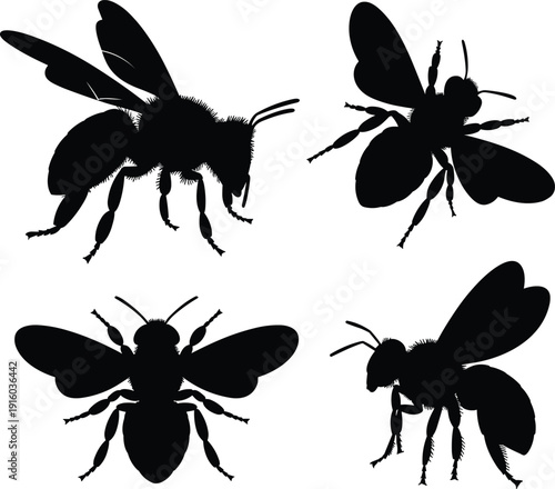 Detailed bumblebee and honey bee silhouette set for nature conservation garden education organic honey and spring insect design