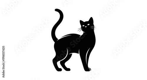 Silhouette of a black cat standing with tail raised.