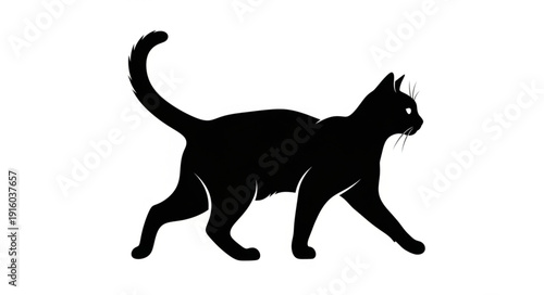 Black cat silhouette walking with tail up.