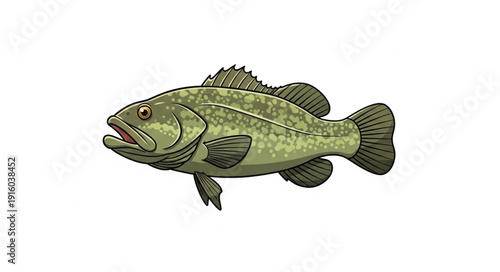 Illustration of Largemouth Bass Fish.
