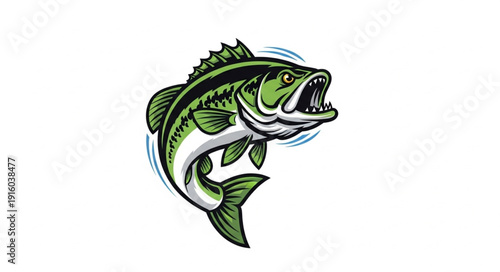 Illustration of Largemouth Bass Fish.