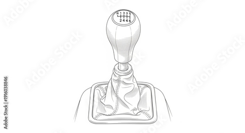 Human Anatomy Diagram of Neck and Head.