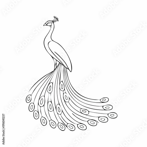 Stylized Peacock Drawing Showcasing its Iconic Fanned Tail - Elegant Avian Beauty in Simple Line Art