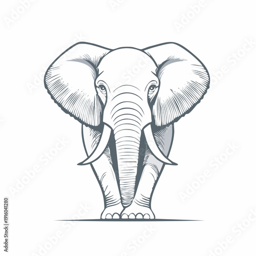 Captivating front-facing illustration of a majestic wild elephant with prominent tusks, showcasing detailed sketch artistry