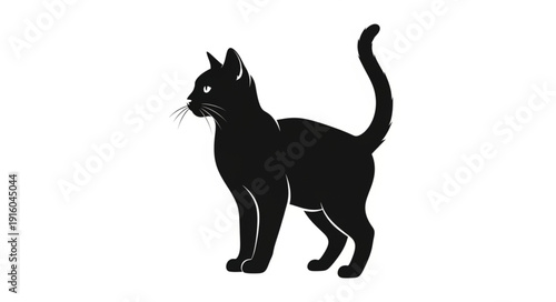 Silhouette of a sleek black cat standing alert.