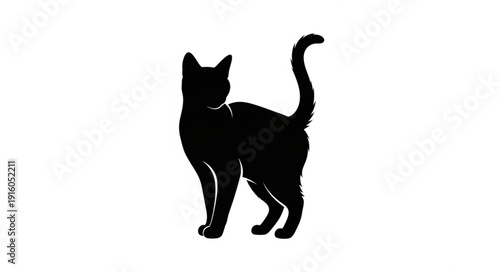 Silhouette of a black cat standing with tail raised.