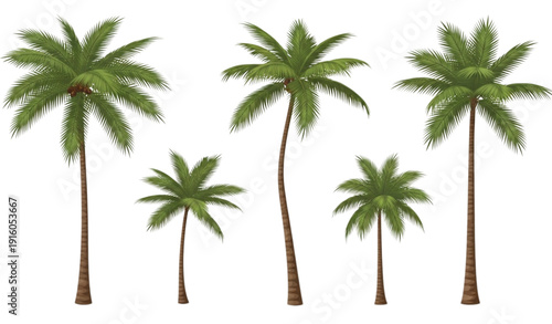 Black palm tree silhouettes collection with varied tropical sizes isolated on white background