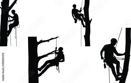 Tree climbing silhouettes with arborist gear, ropes, harnesses, professional climbers ascending bare trunks, outdoor adventure, arboriculture activity