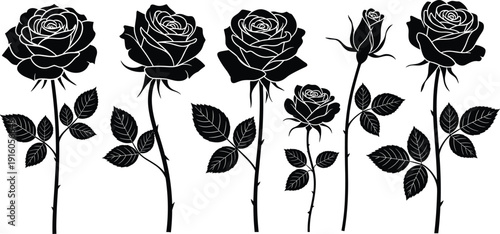 Set of Various Black Silhouette Healthy Fruit and Vegetable Icons Including Apple, Broccoli, Banana, and Watermelon Isolated on White Background for Culinary Graphic Designs