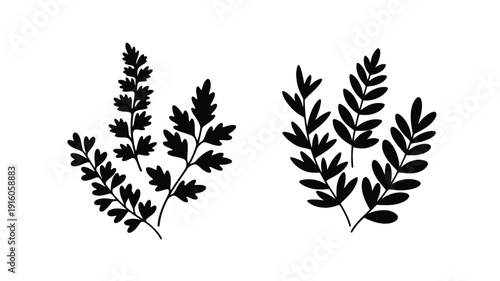 Black foliage arrangements depicting fern like plants a striking silhouette