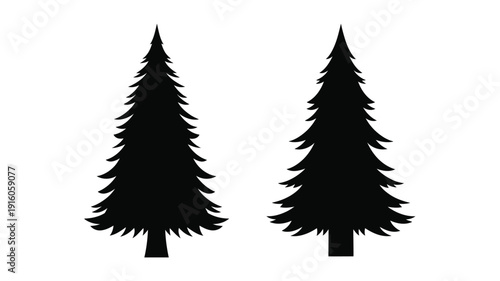 Two dark evergreen trees stand against a white background silhouette