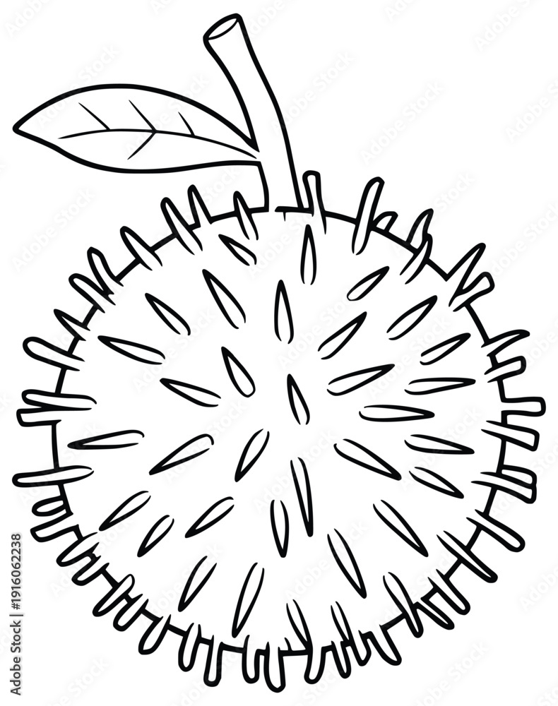 Obraz premium Durian Fruit Illustration: A detailed outline of a durian fruit, capturing the iconic spiky exterior and distinct shape, a bold representation of nature's unique bounty.