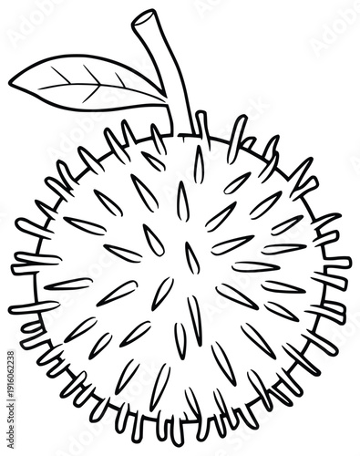 Durian Fruit Illustration: A detailed outline of a durian fruit, capturing the iconic spiky exterior and distinct shape, a bold representation of nature's unique bounty.