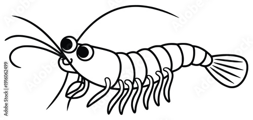 Shrimp Illustration: A charming, outlined illustration of a shrimp, ready to captivate viewers with its unique details. 