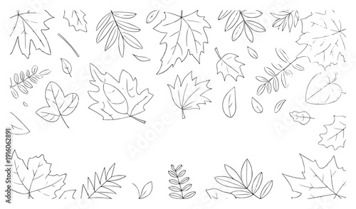 Autumnal Leaves Contour: A collection of meticulously outlined leaves in varying shapes and sizes, delicately scattered to create a charming, natural arrangement.