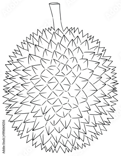 Durian Outline: A detailed black and white illustration of the durian fruit, showcasing its spiky exterior and unique form.