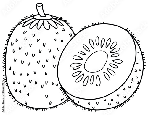 Kiwi's Fresh Appeal: An artistic illustration captures the simple beauty of a kiwi fruit, its fuzzy exterior contrasting with the vibrant green flesh within.