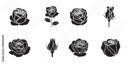 Black and white roses in various stages of bloom Vector