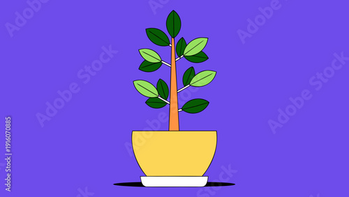 Stunning houseplant in vibrant yellow pot on purple background