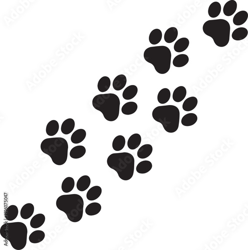 Paw print trail on white background. Vector cat or dog, pawprint walk line path pattern background