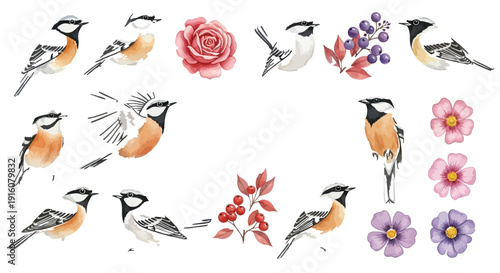 Beautiful watercolor chickadee birds and flowers arrangement on white background illustration