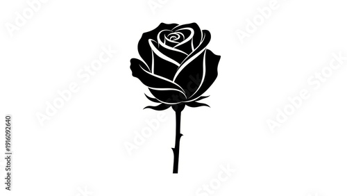Rose Flower Silhouette Vector graphic Illustration against white background